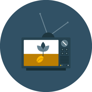 03-the-impact-of-car-ads-on-consumers